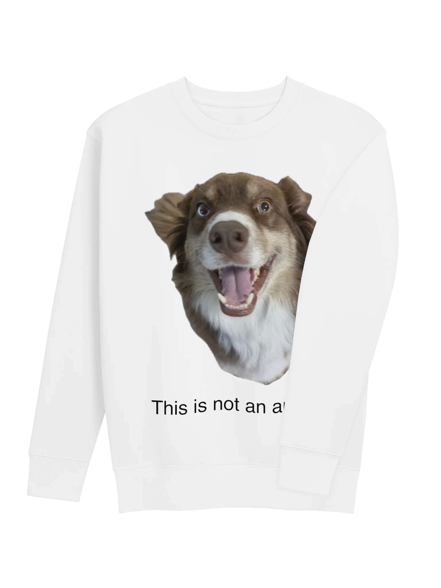 THIS IS STILL A DOG. product image (4)