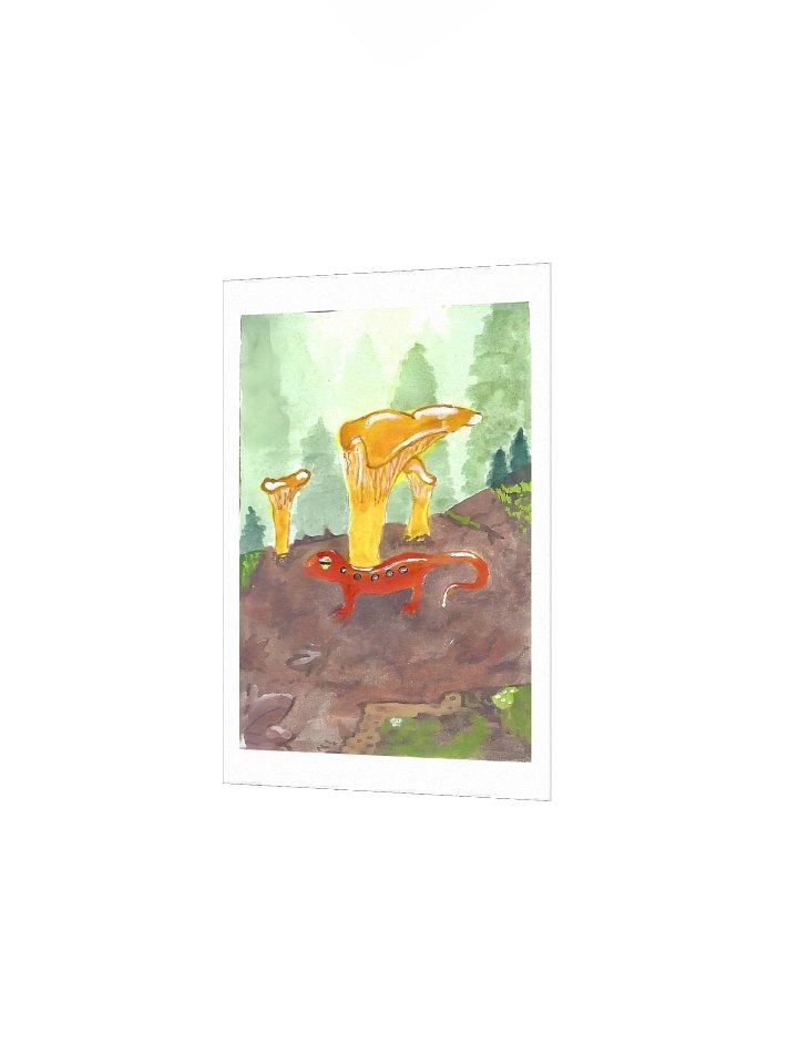 #9 Eastern Newt among Chantarelles - The Wildwood Wash product image (15)