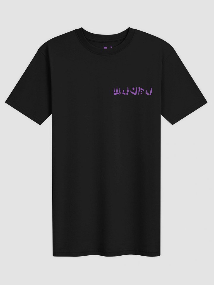 Mystical Swashbuckler T-Shirt (Inspired by Ninjini) product image (1)