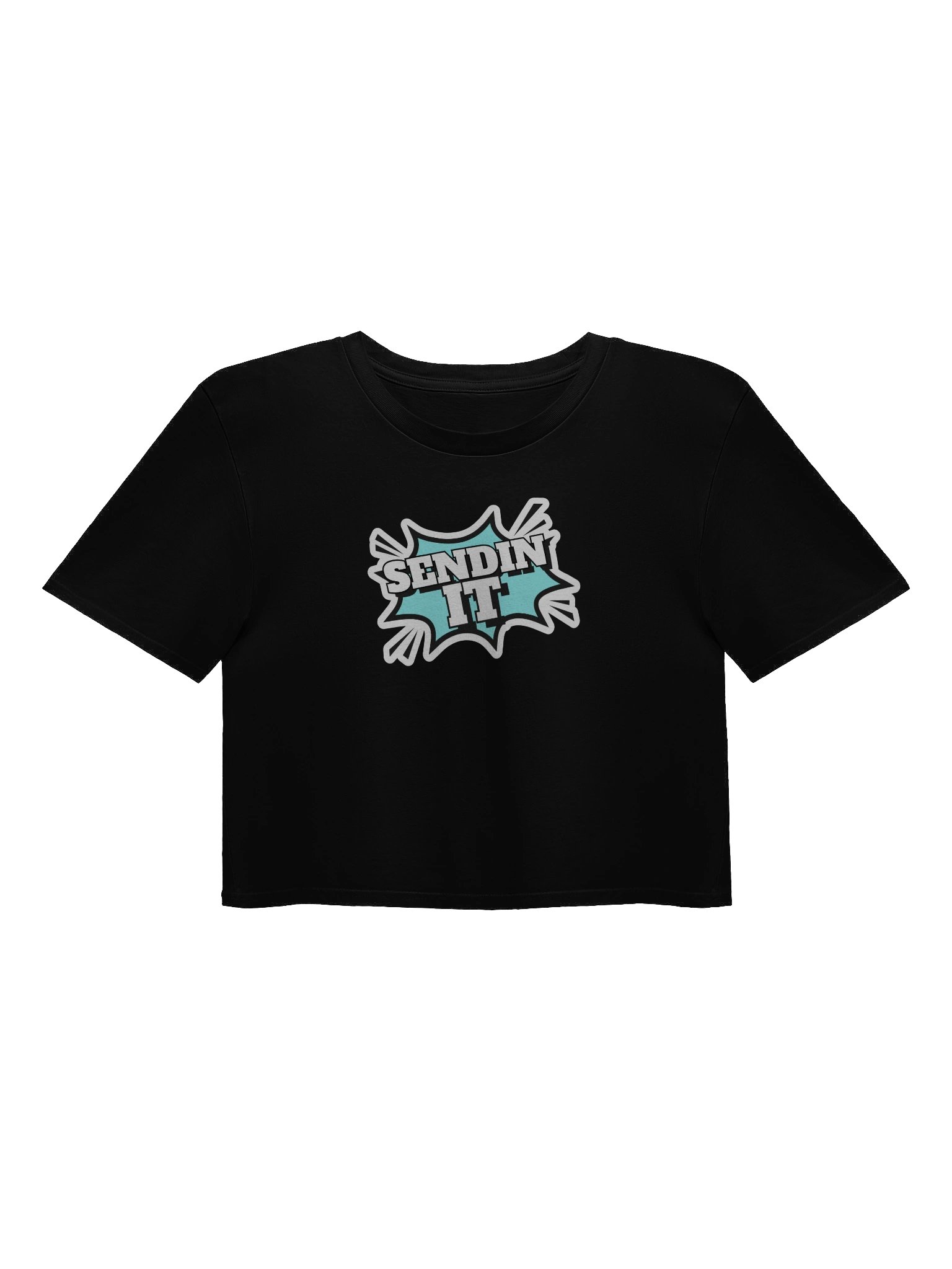 Sendin It! - Crop Tee product image (1)