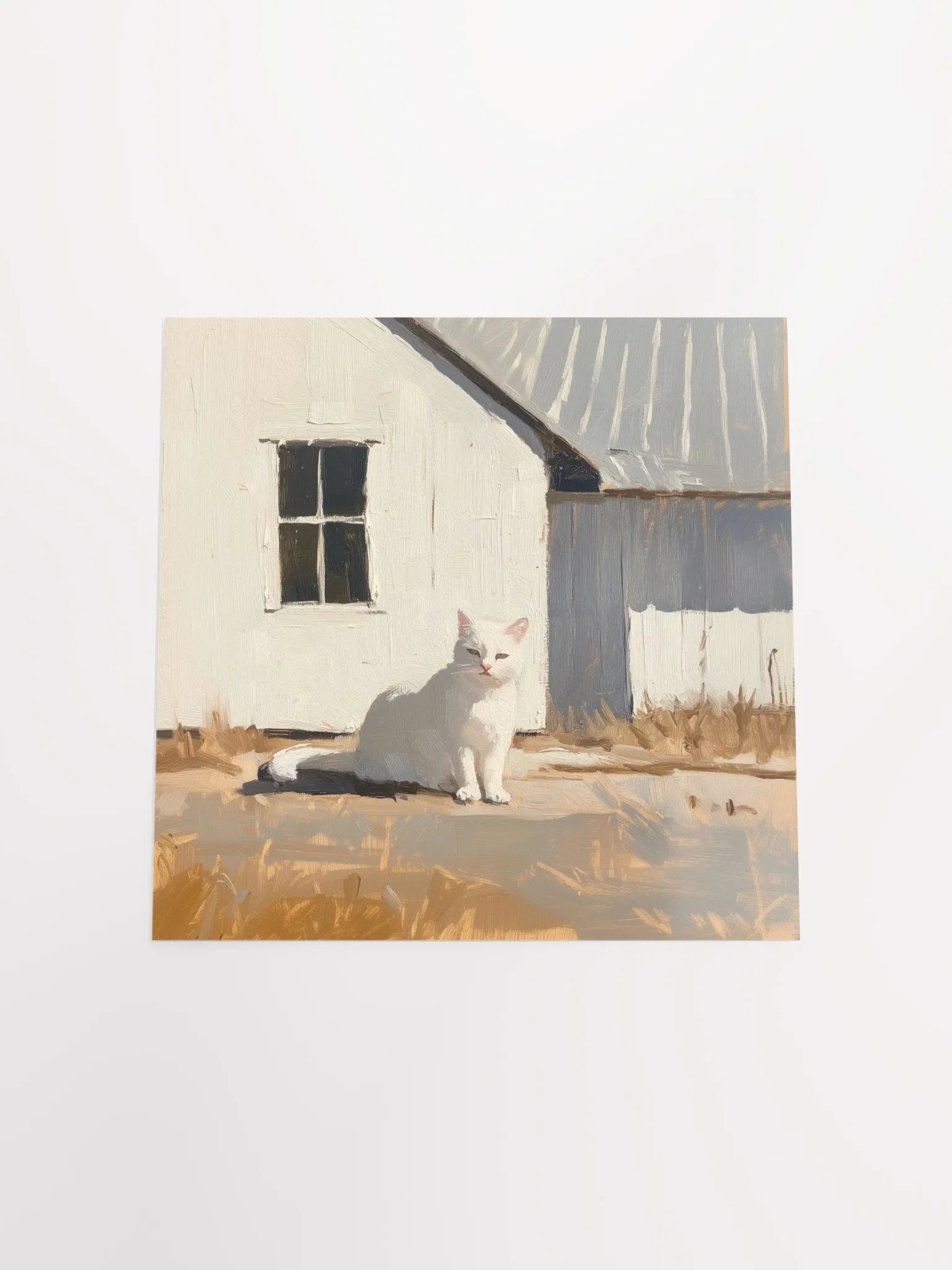 Modern Farmhouse: Sunlit Cat Art Print product image (19)