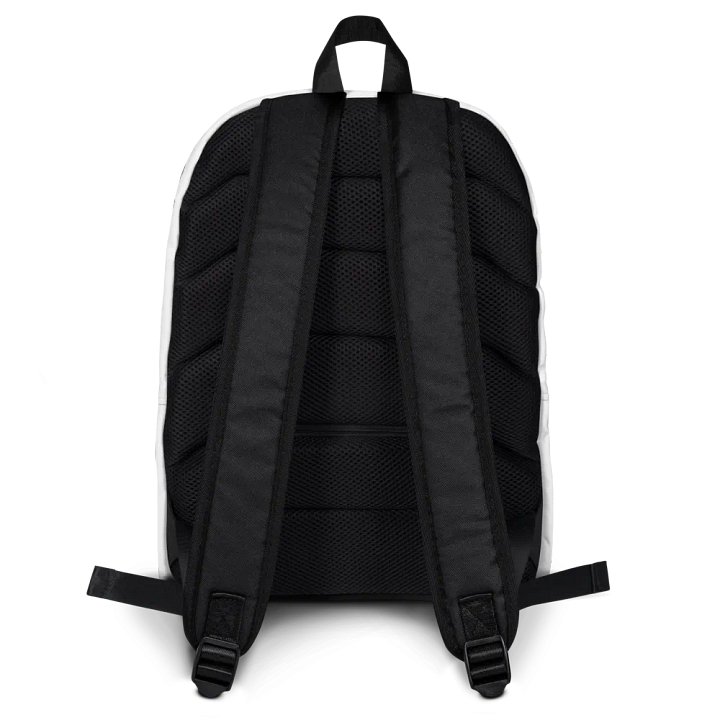 Best backpack ever product image (2)