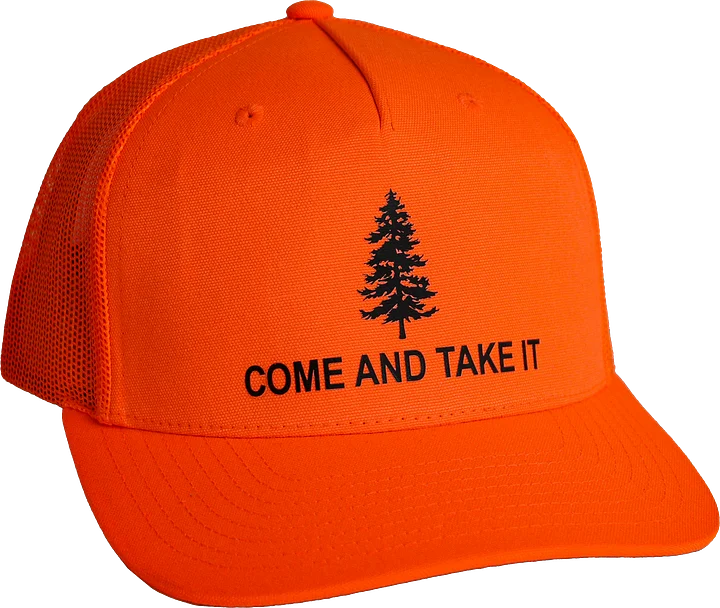CATI Hat product image (1)
