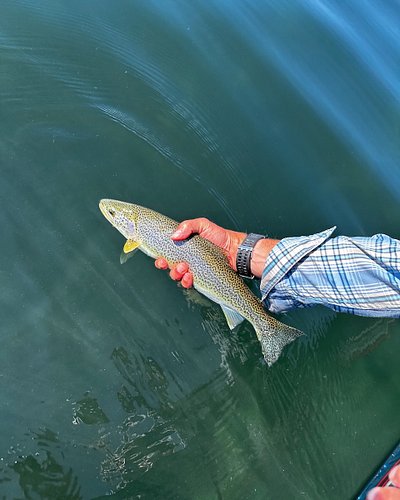 A slow day with an old friend, 
a familiar guide, a few willing fish, 
and enough time on the water remains a successful trip...