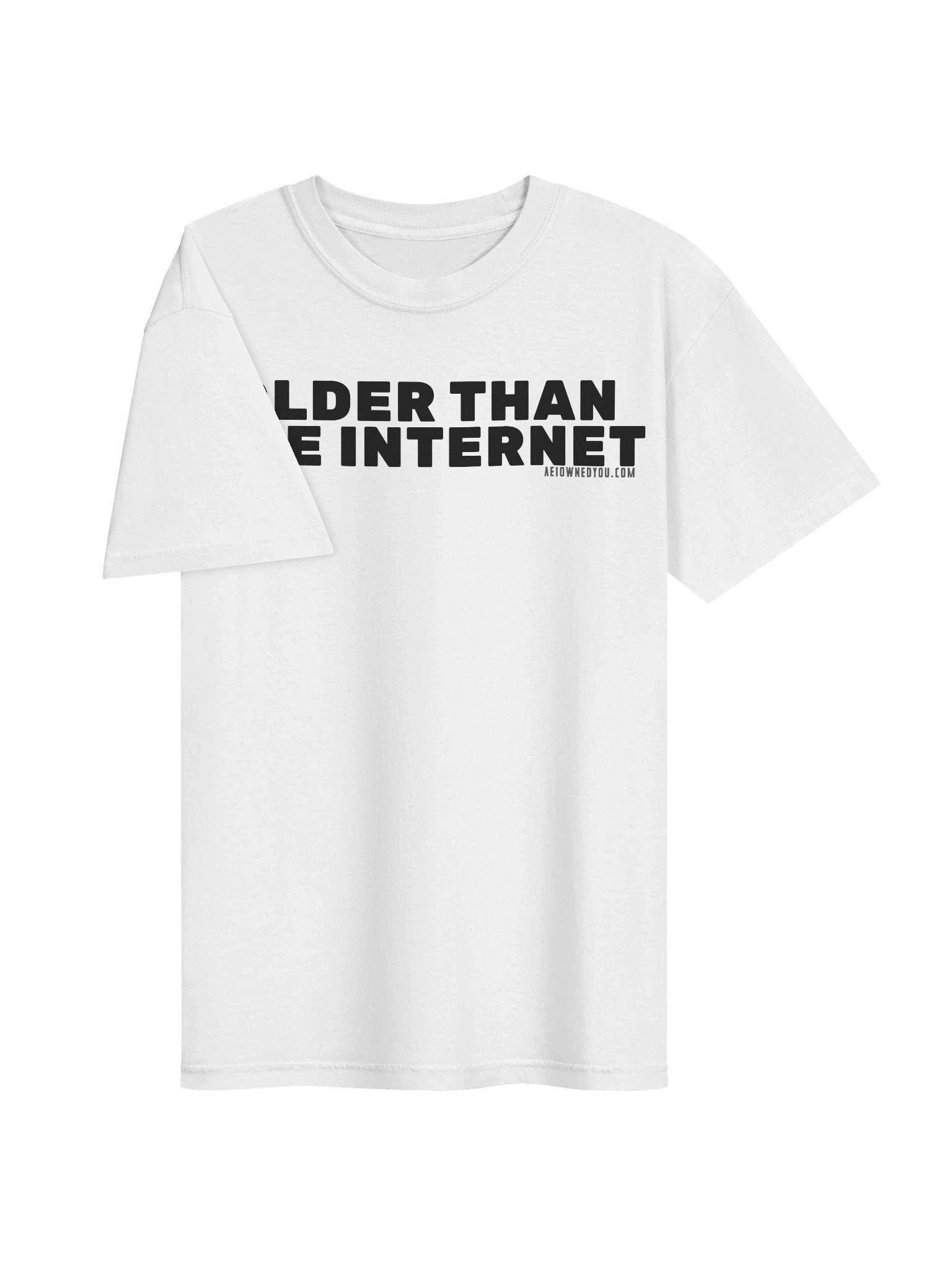 Older Than The Internet Heavyweight Shirt (Light Colors Design) product image (3)