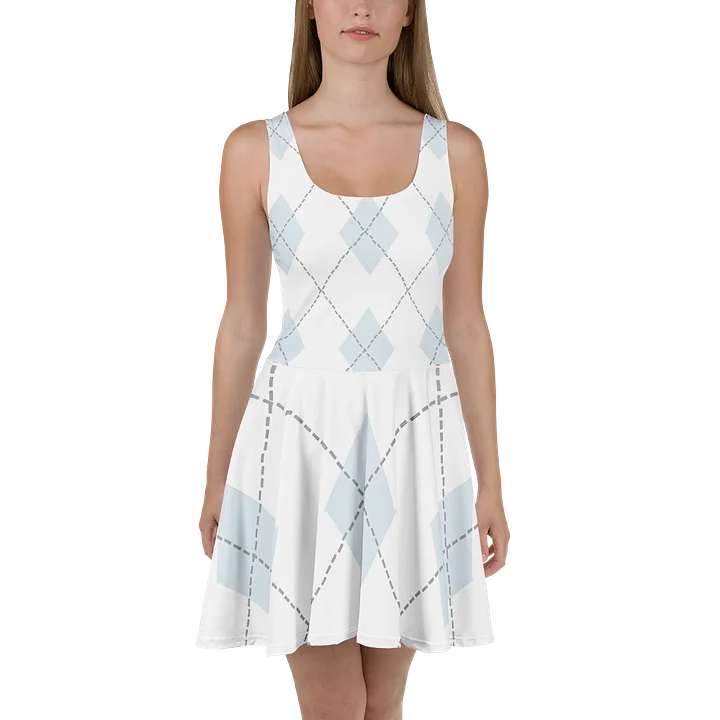Argyle The Fly Academic - Chill | Skater Dress product image (2)