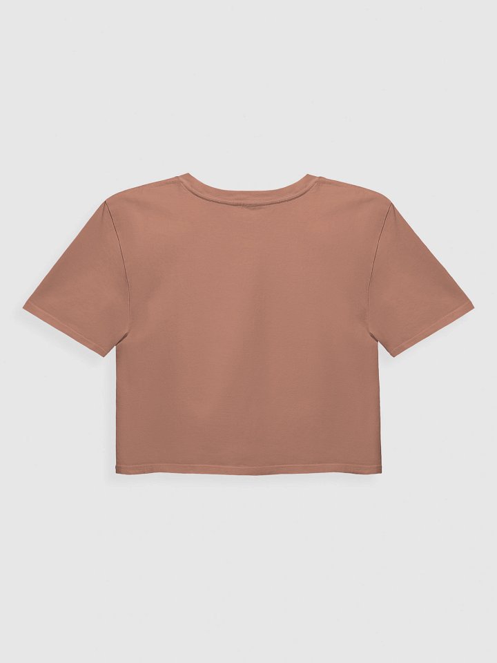 EW A HUMAN Crop Tee product image (10)