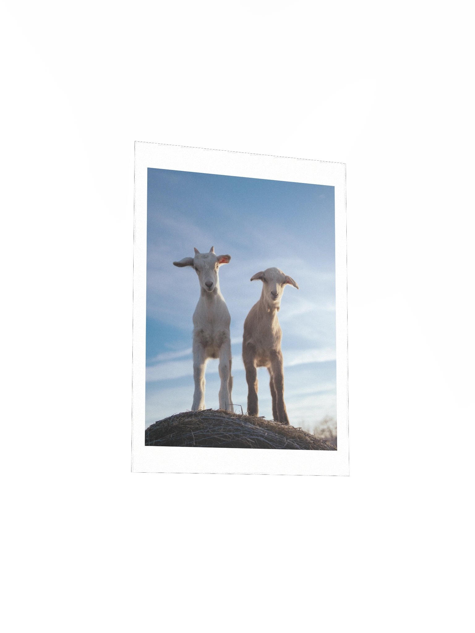 Quiet Bond product image (4)
