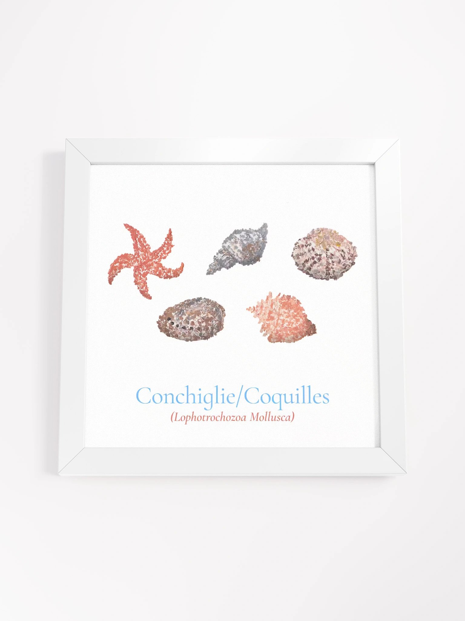 Conchiglie Botanicus Frame product image (7)