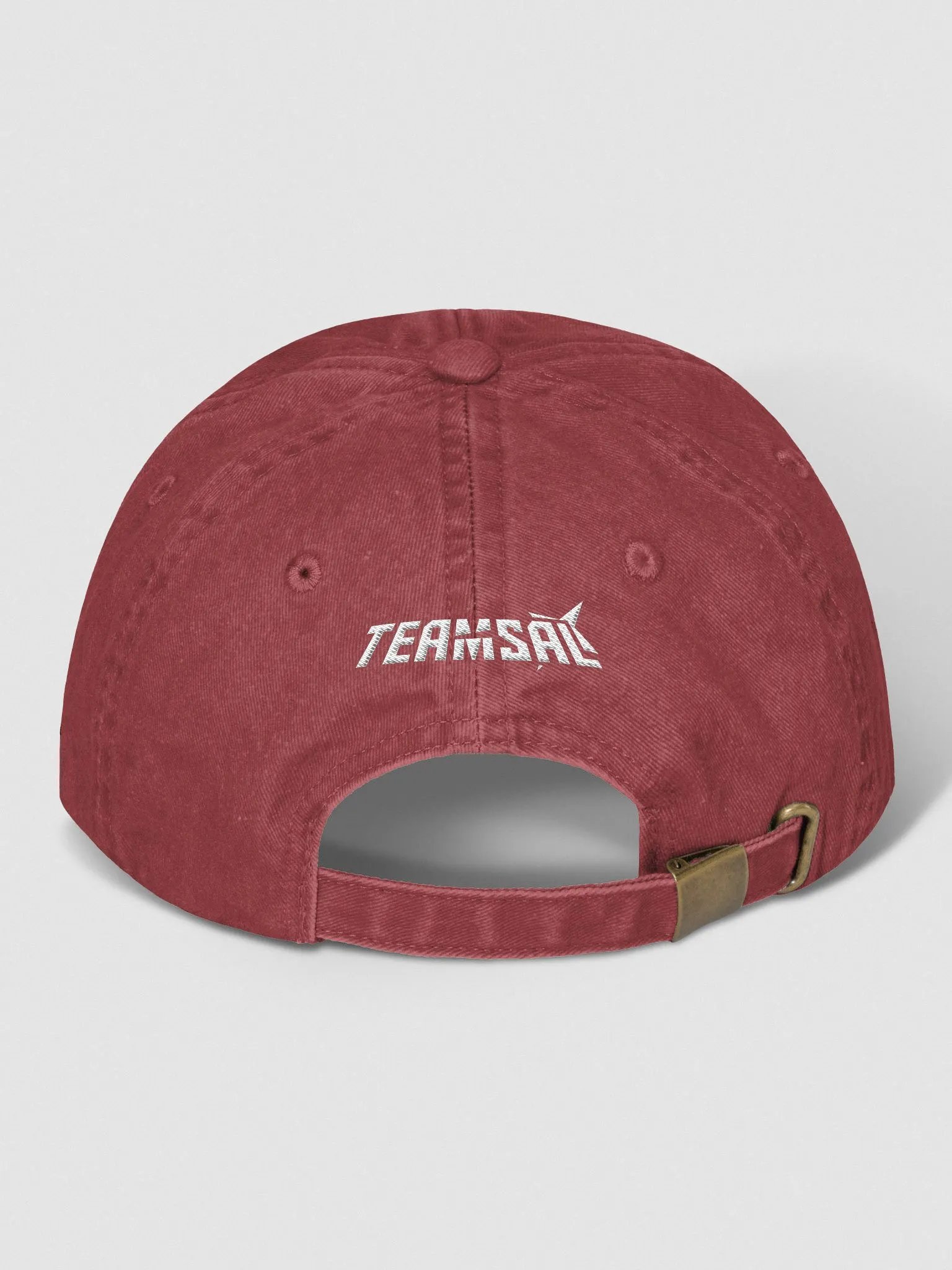 Team Sal Dad Hat product image (20)
