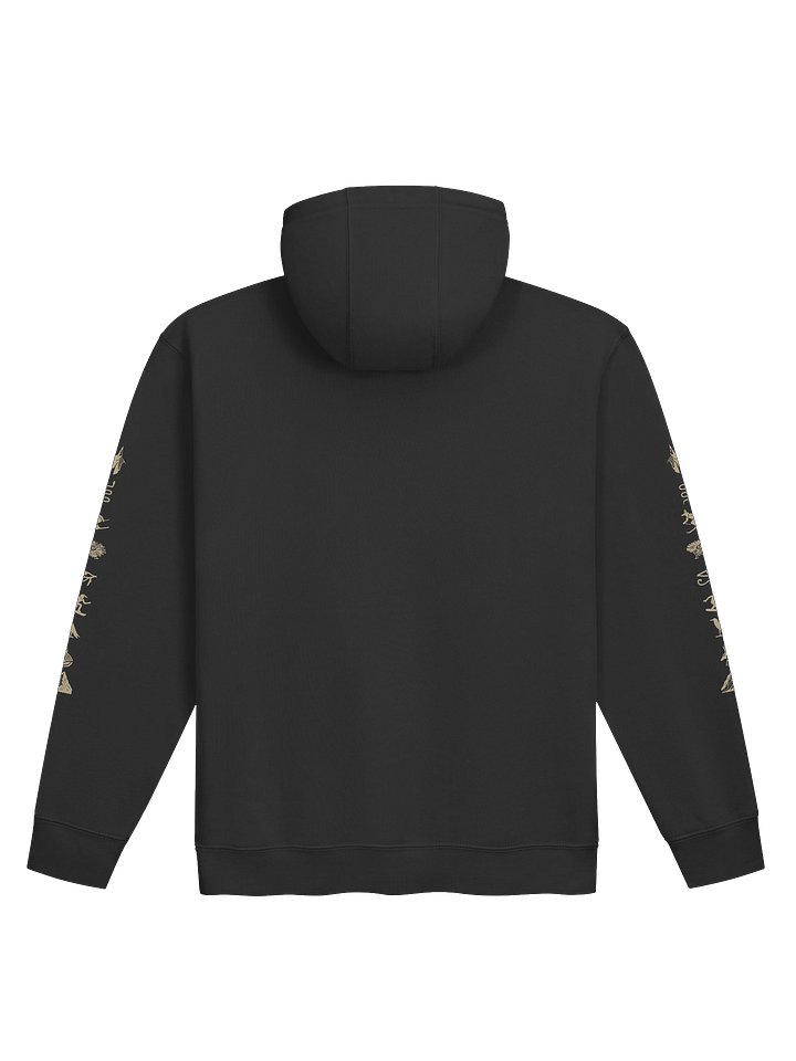 Hieroglyph Hoodie product image (2)