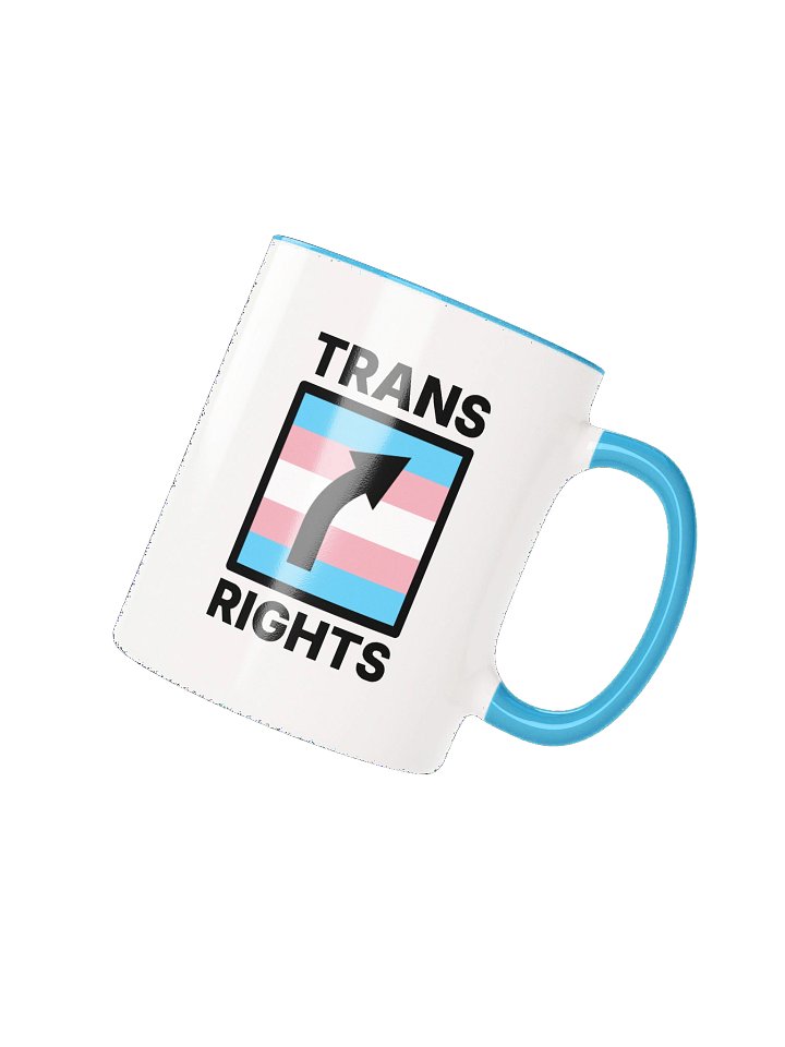 Trans Rights Mug product image (1)