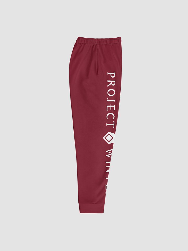 Project Winter Men's Joggers (Red) product image (2)
