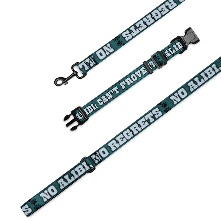 No Alibi No Regrets Dog Collar and Leash Set product image (1)