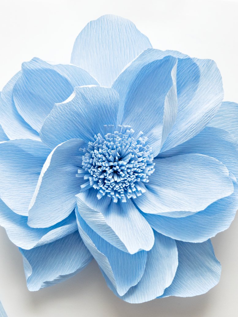 DIY Giant Crepe Paper Flower: Templates from Video Tutorial product image (1)