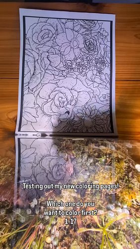 Slow but steady progress on the coloring book that will be launching this summer! Which page do you want to color first?#colo...