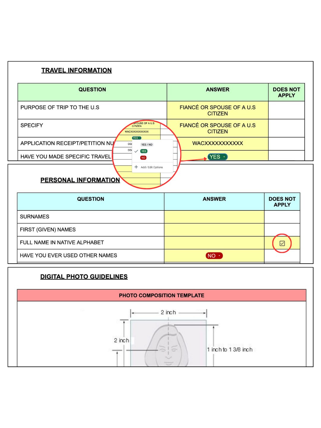 DS-160 Application Template product image (2)