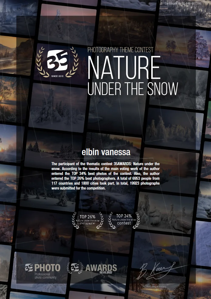Fine Art - Winter Flow - Cascade de Vegay - Limited Edition product image (3)