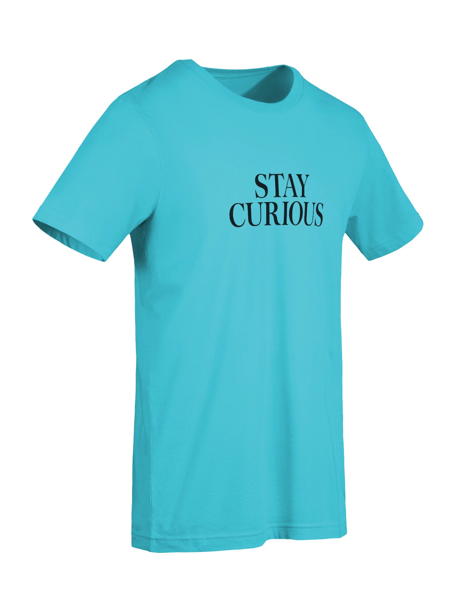 Stay Curious T-Shirt | Motivational Quote Tee | Inspirational Typography Shirt | Bella Canvas 3001 product image (9)