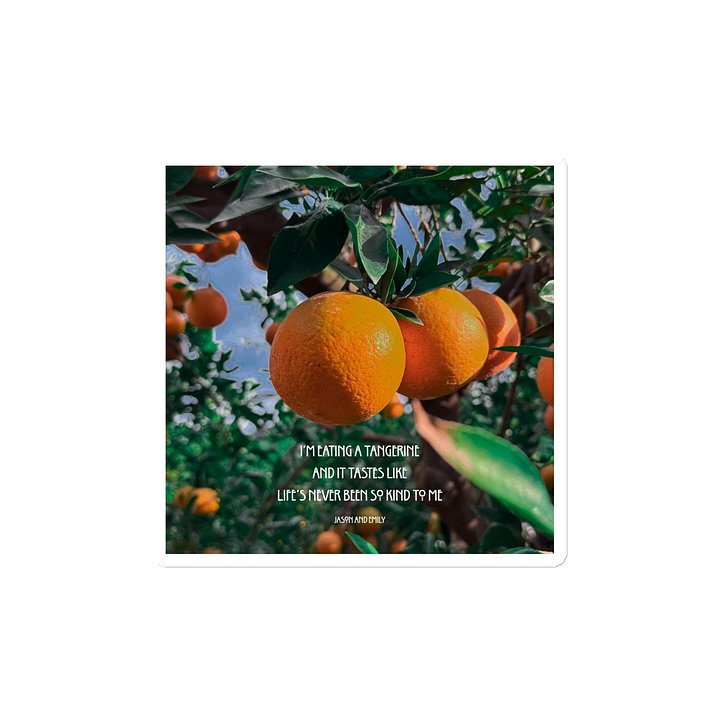 Life's never been so kind to me- Tangerine Magnet product image (2)