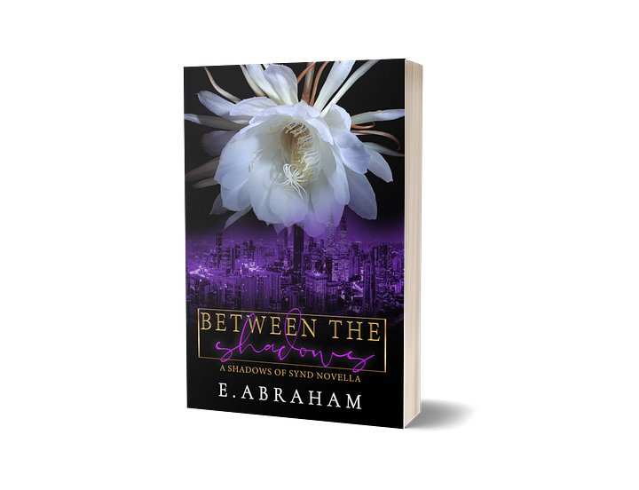 Between the Shadows Novella product image (1)