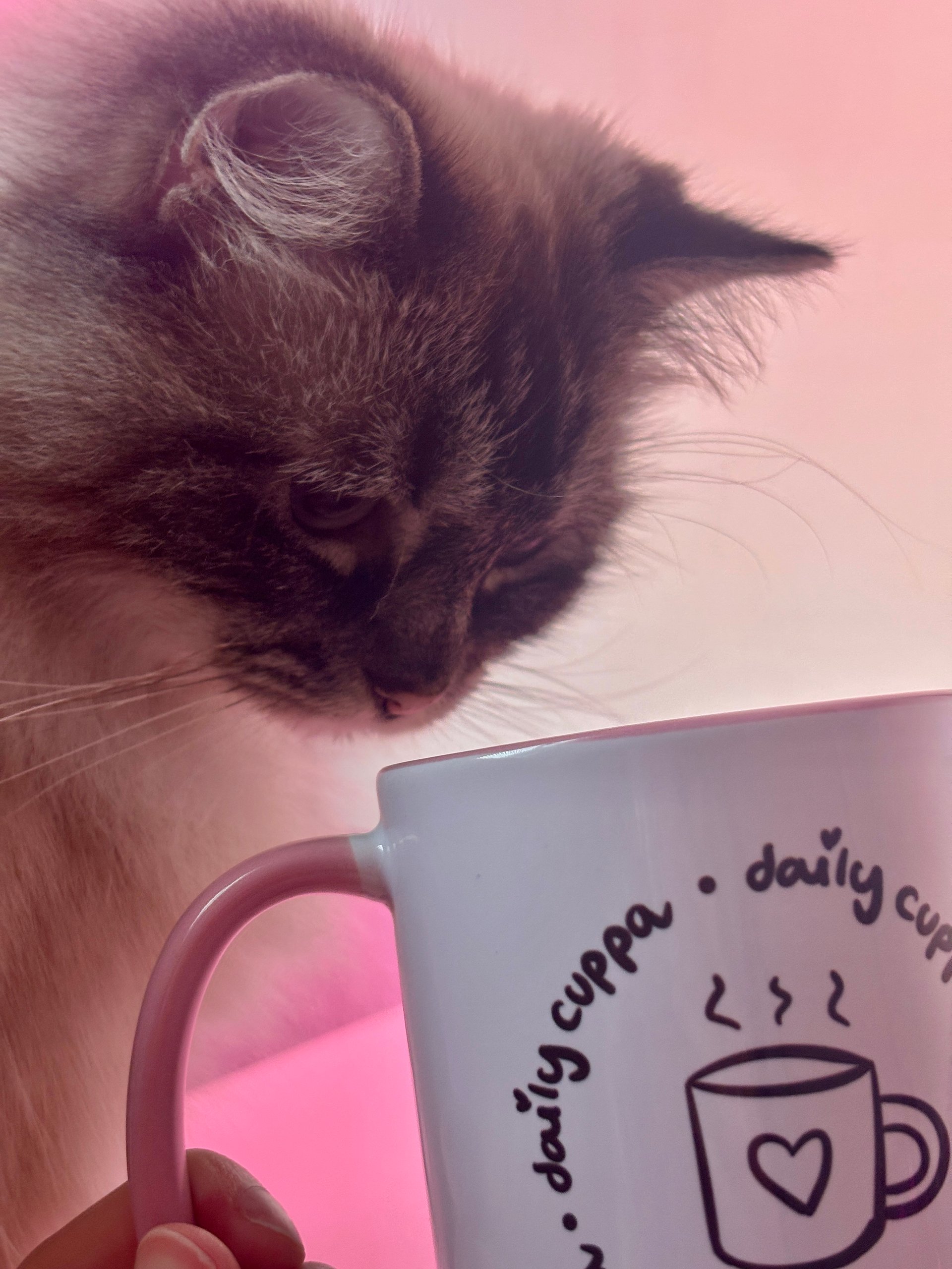 Daily Cuppa - Mug product image (9)