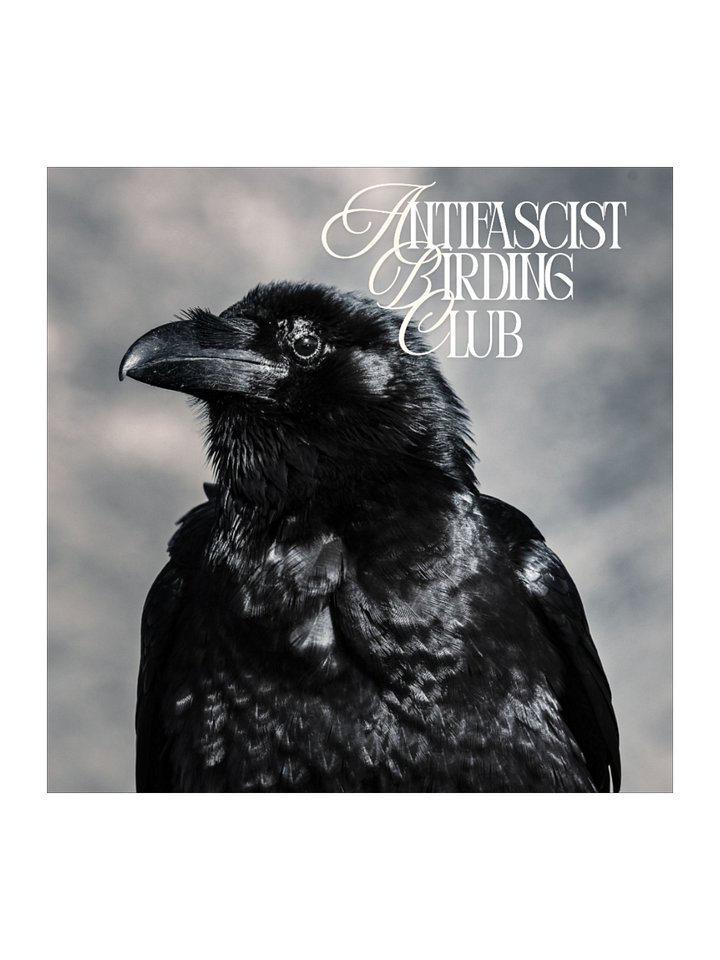 Antifascist Birding Club - Crow Sticker product image (1)
