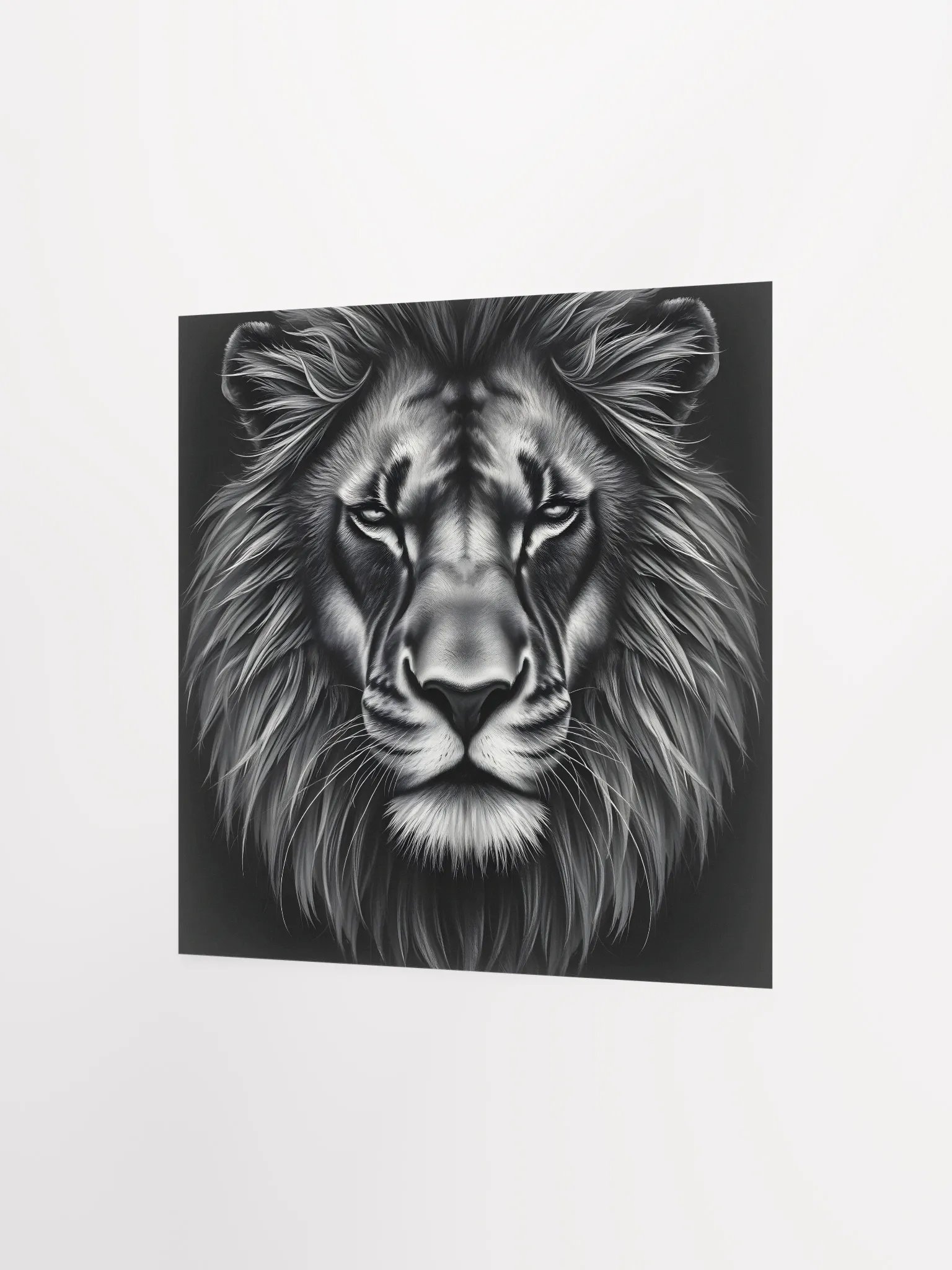 Lion product image (8)