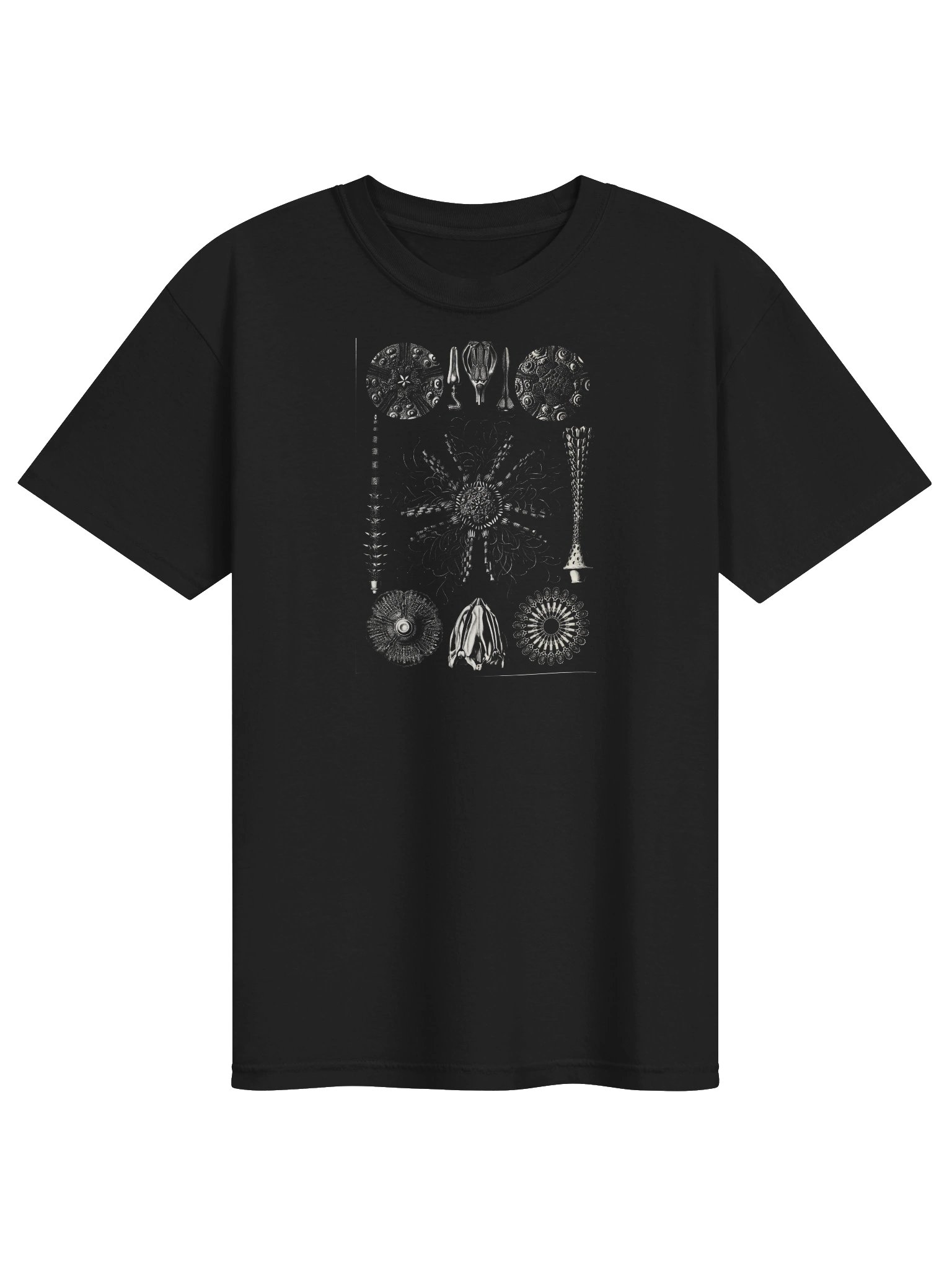Sea Urchins Vintage Scientific Illustration T-Shirt product image (1)