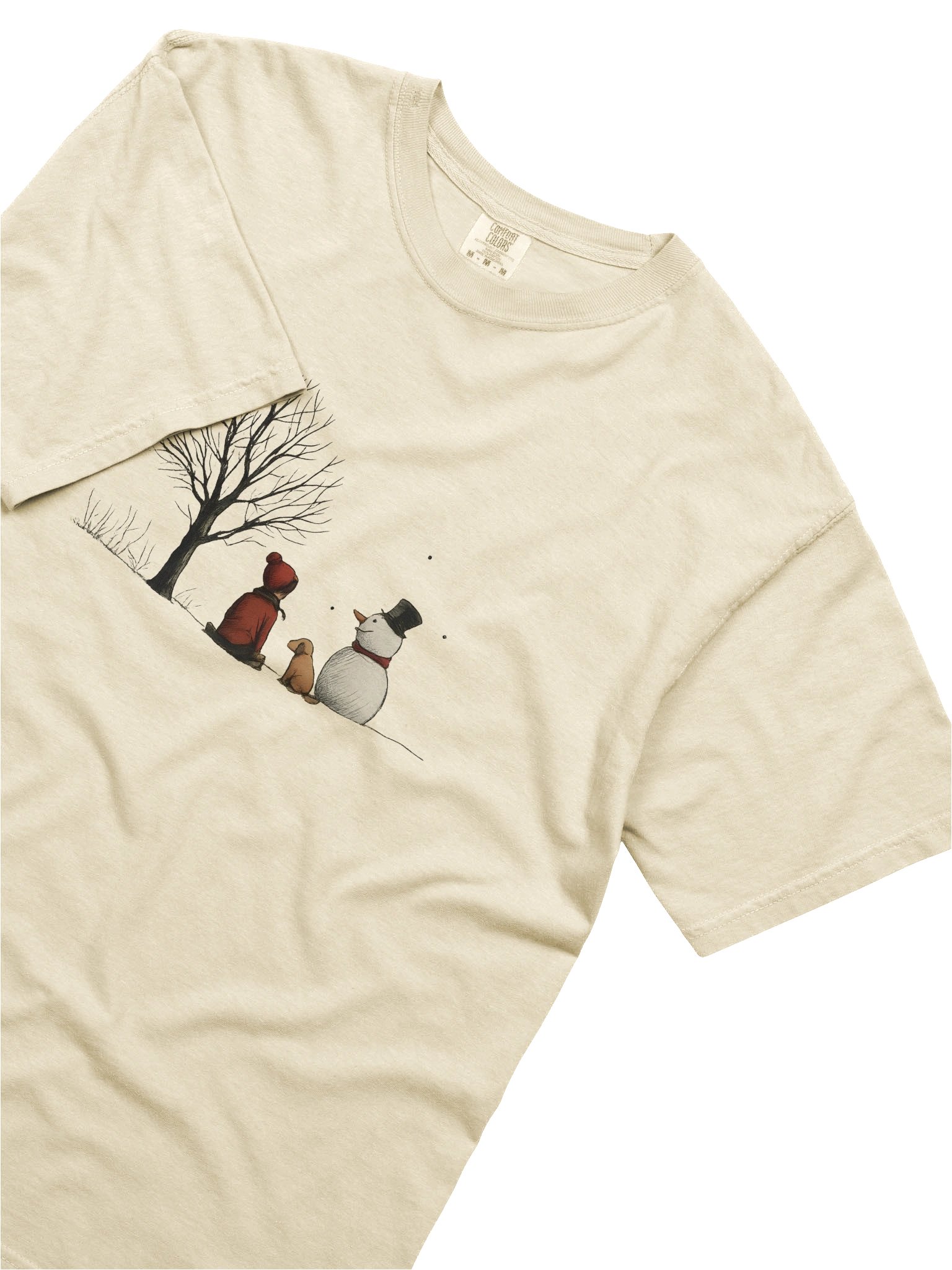 Relaxed Fit Heavy Weight T-Shirt | Comfort Colors Style product image (5)