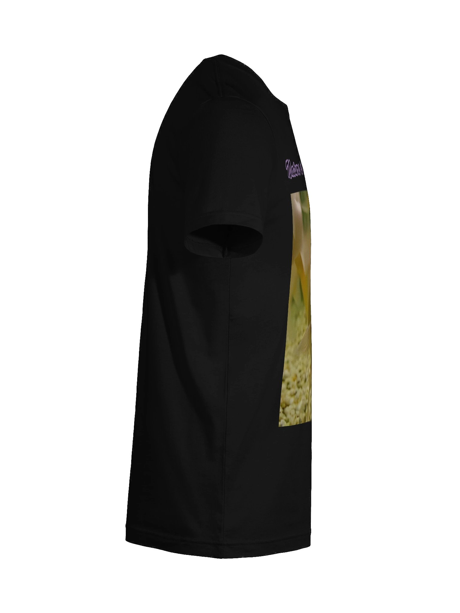 FISH TITTIES product image (24)