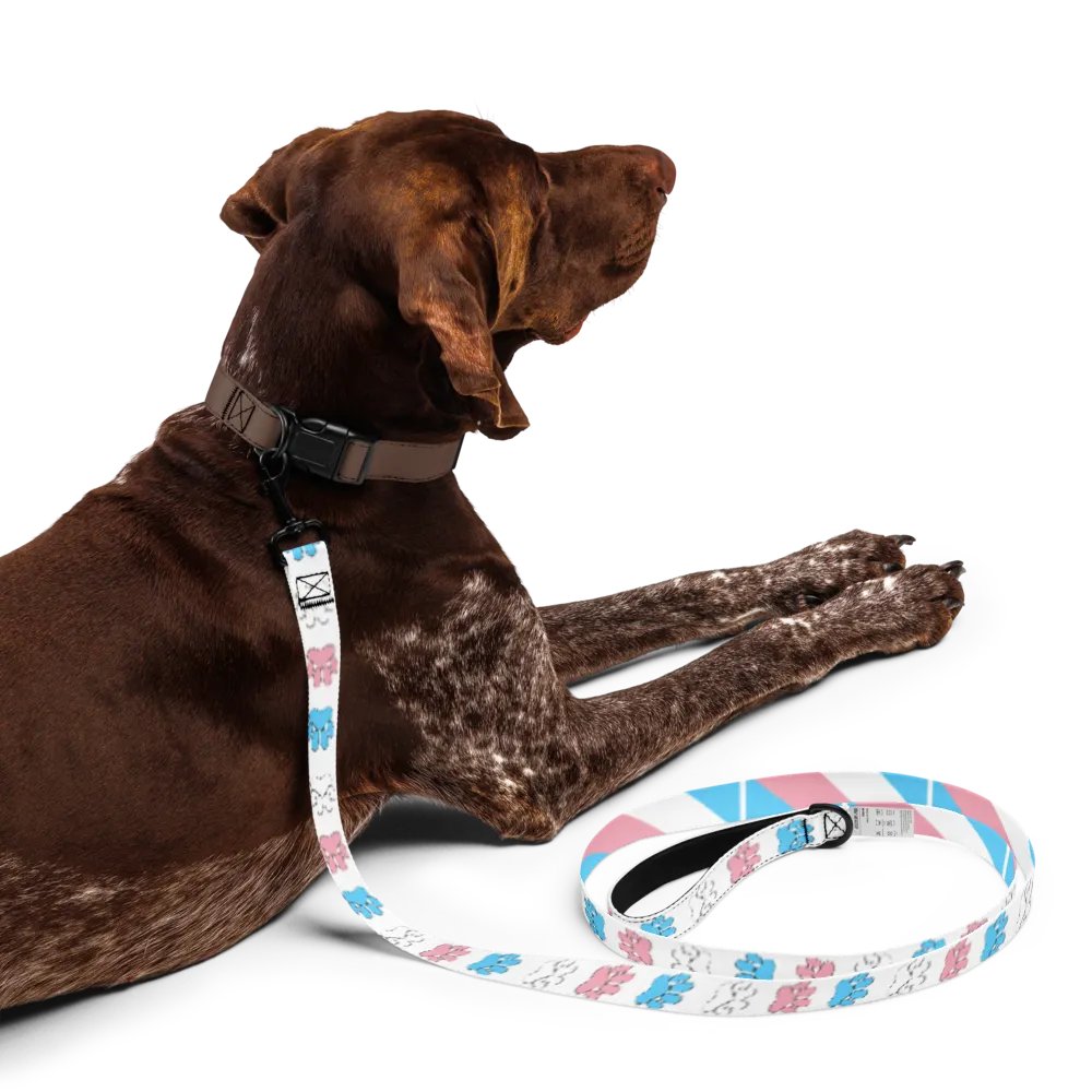Trans Pride Leash product image (5)