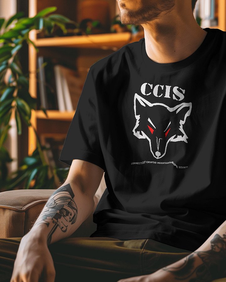 CT Cryptids Unisex Heavyweight T-Shirt product image (1)