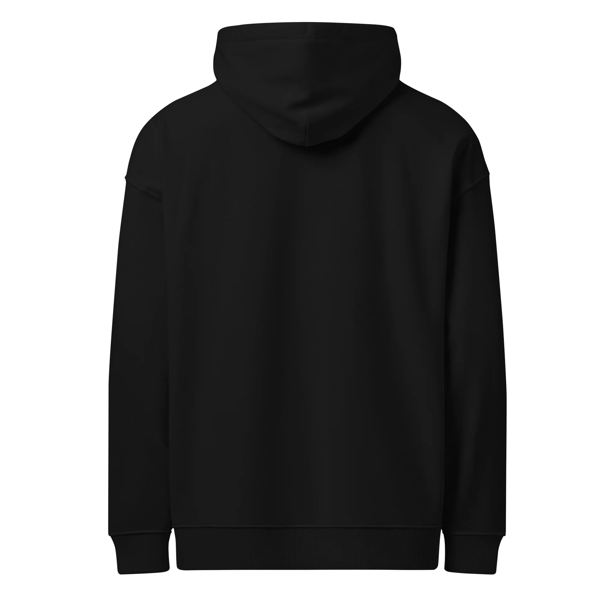 Hoodie Unisex Oversize Coton Bio Poids Lourd - ALCHIMISTAE product image (6)