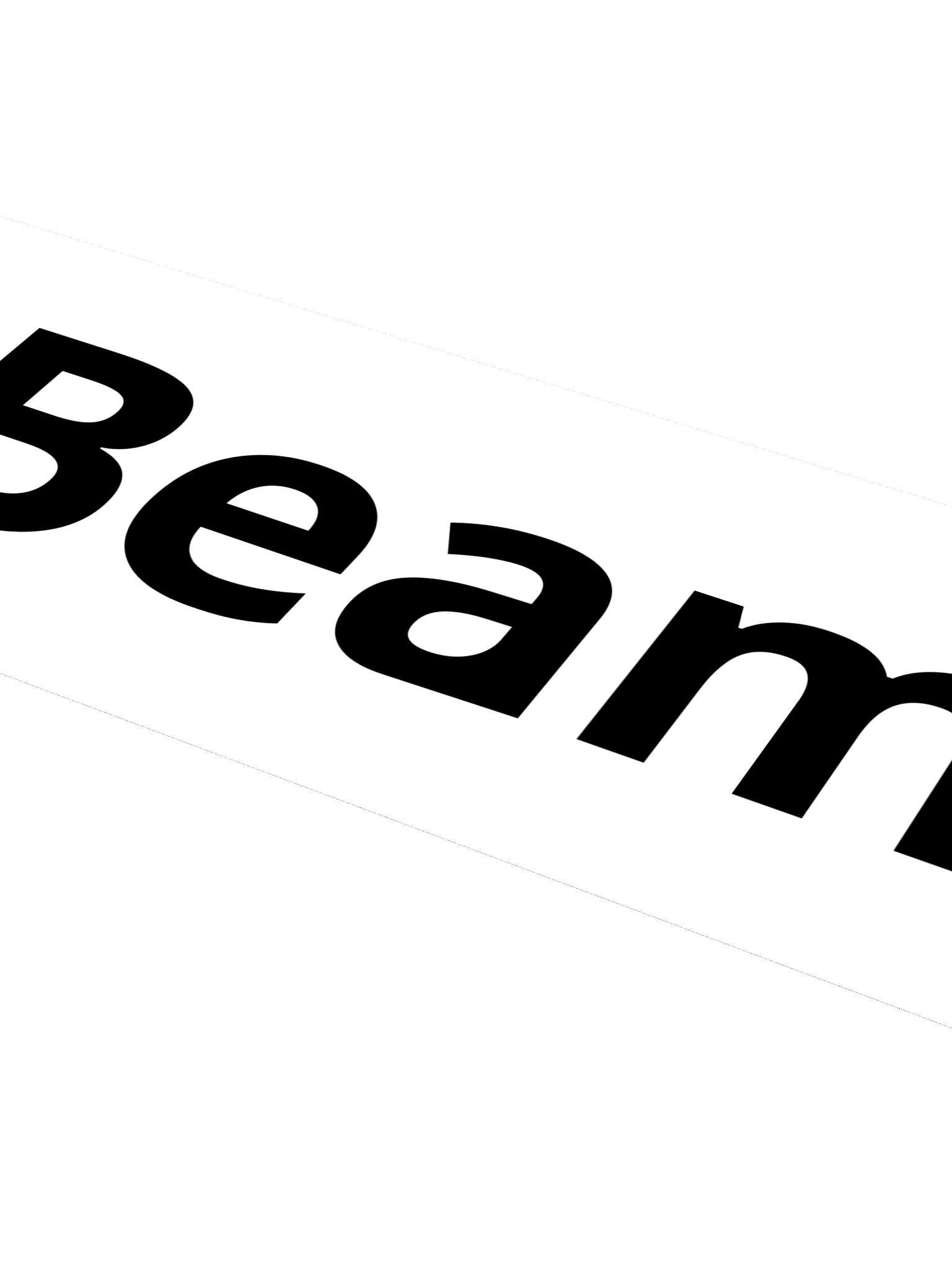 BeamNG Logo XL Sticker (Black) product image (4)