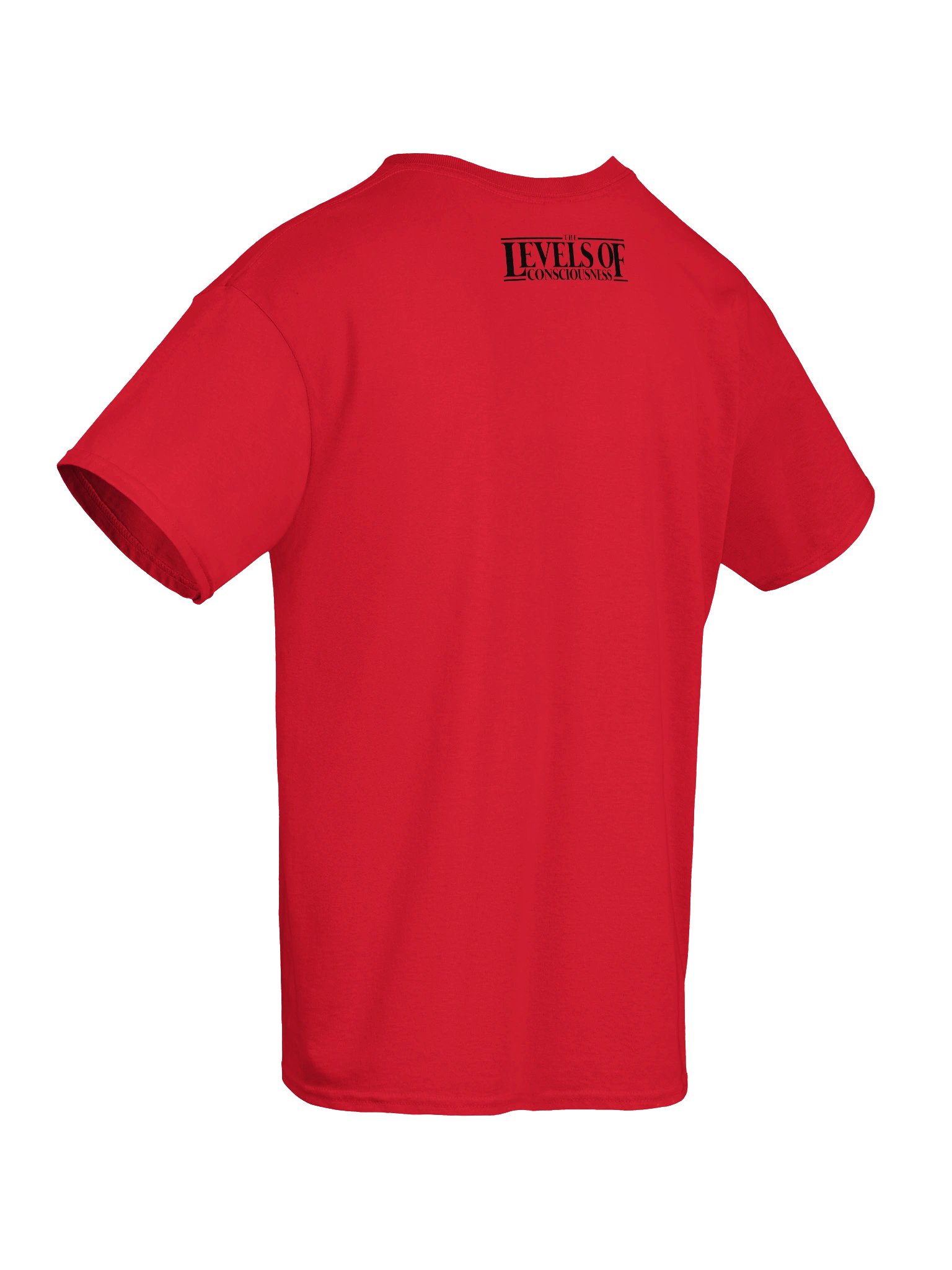Wrestling Angels Tee product image (22)