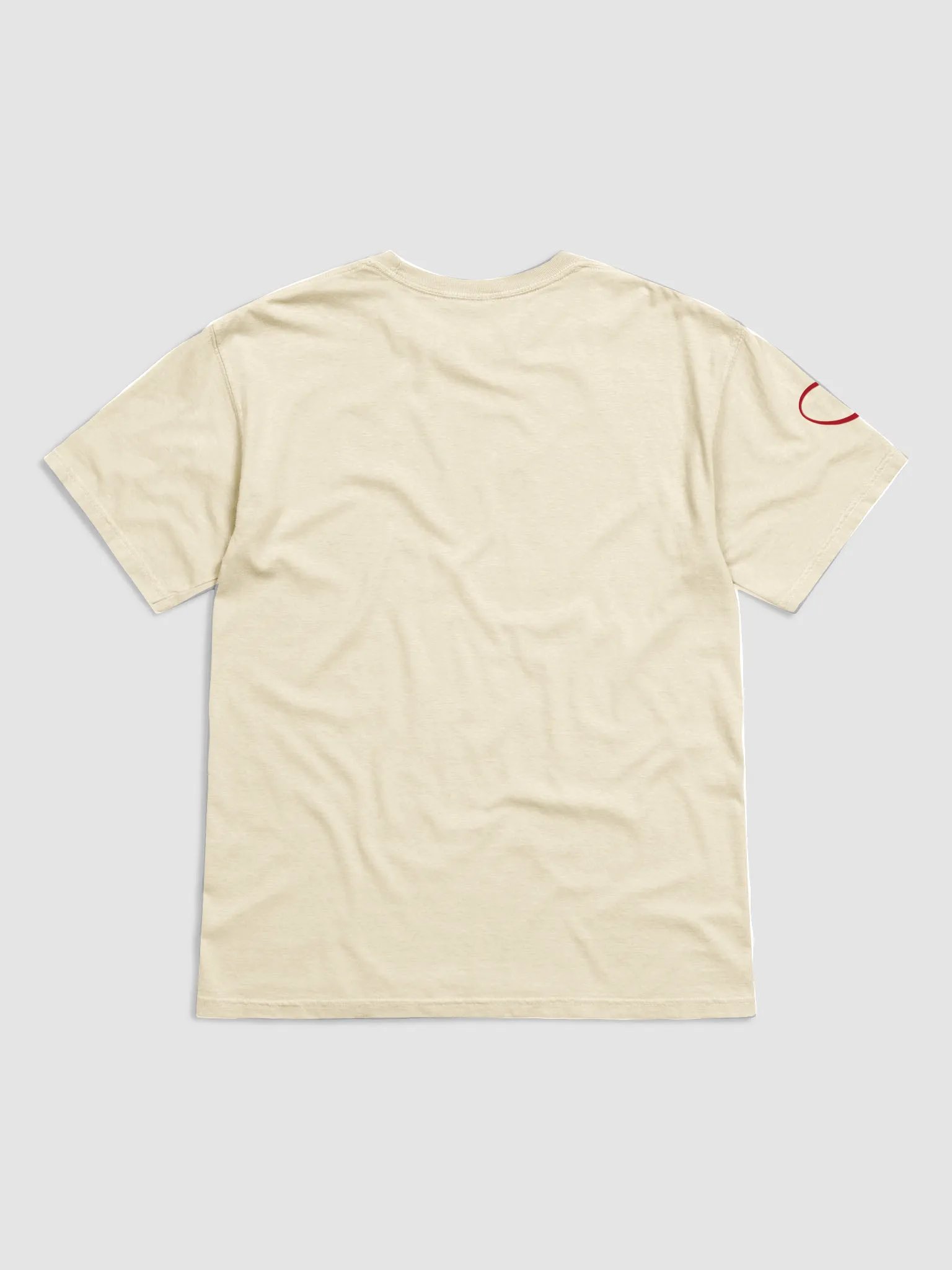 Just your friendly neighborhood sex coach t-shirt product image (4)