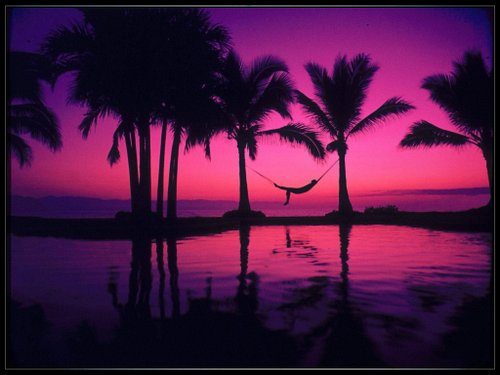 // Summer In The Bunker //
.
.
• [ Bio-link ] For your warm days & nights ...
⤷ https://ko-fi.com/post/Summer-Atmosphere-in-T...