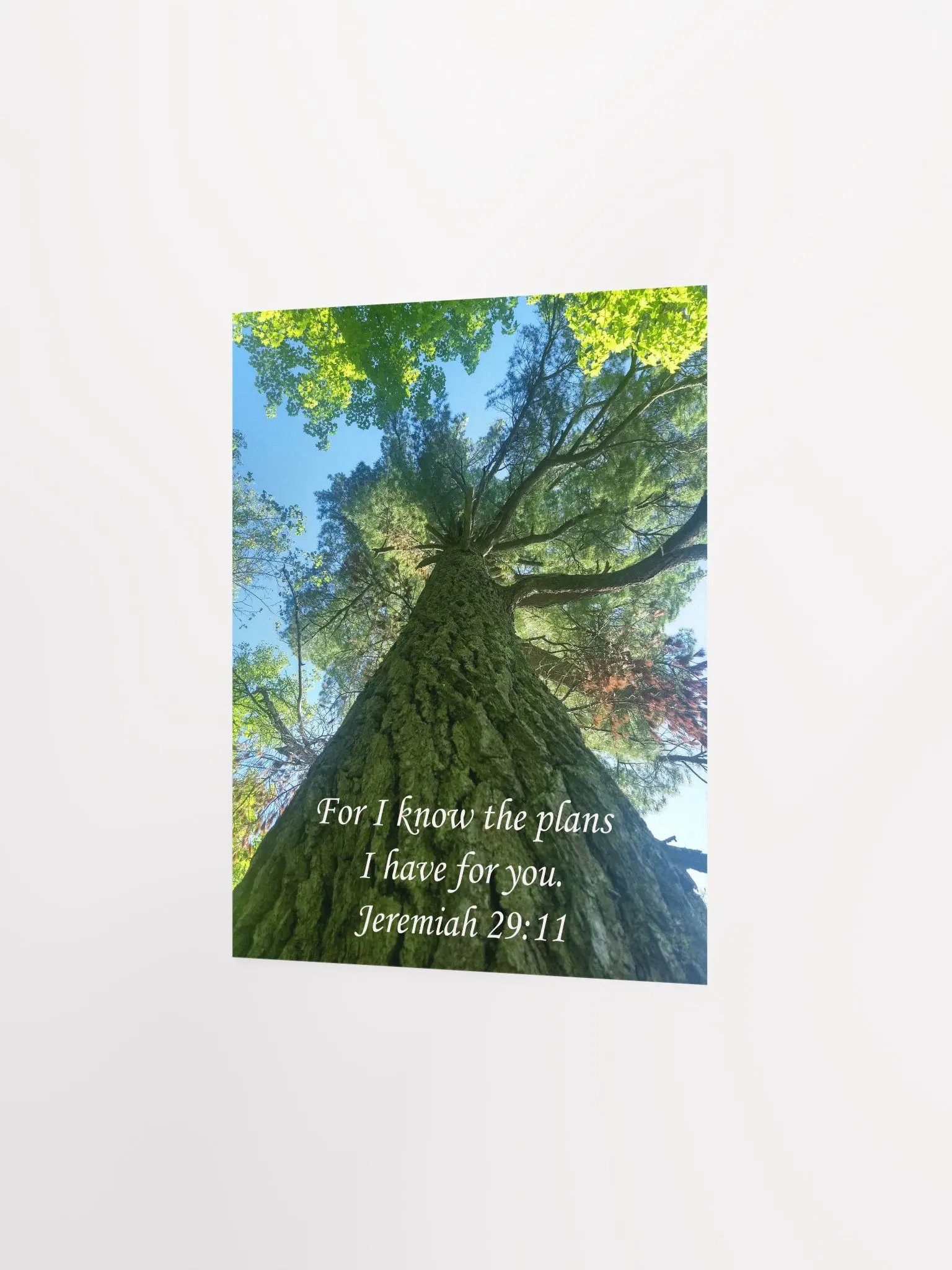 I Know the Plans - Print product image (2)