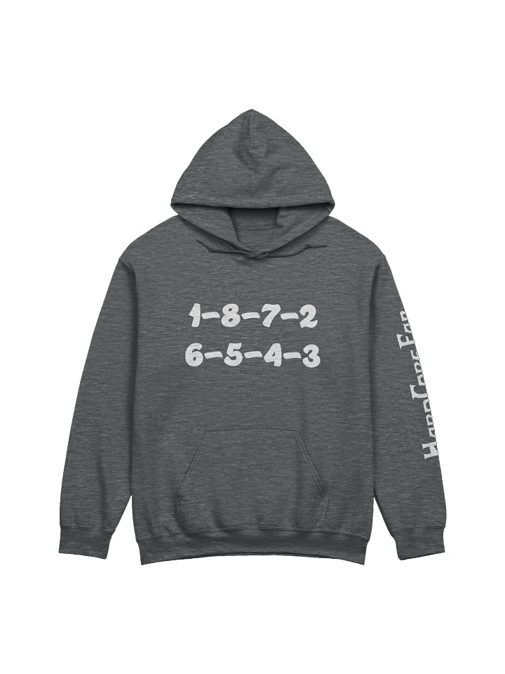 LS Firing Order Hoodie product image (1)