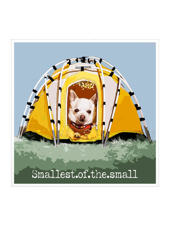 Mr. Pink Yellow Tent Stiker product image (1)