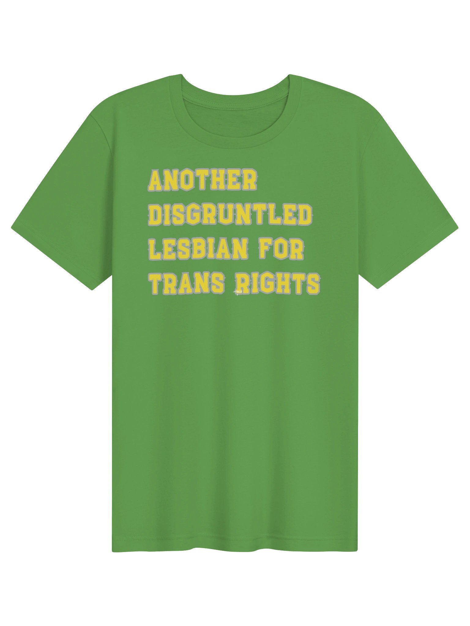 Disgruntled Seattle Lesbian product image (1)