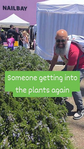Oysters with a side of plant identification 

#misfitsandmatcha #outdoorplants #plantcouple #plantcomedy #plantscience