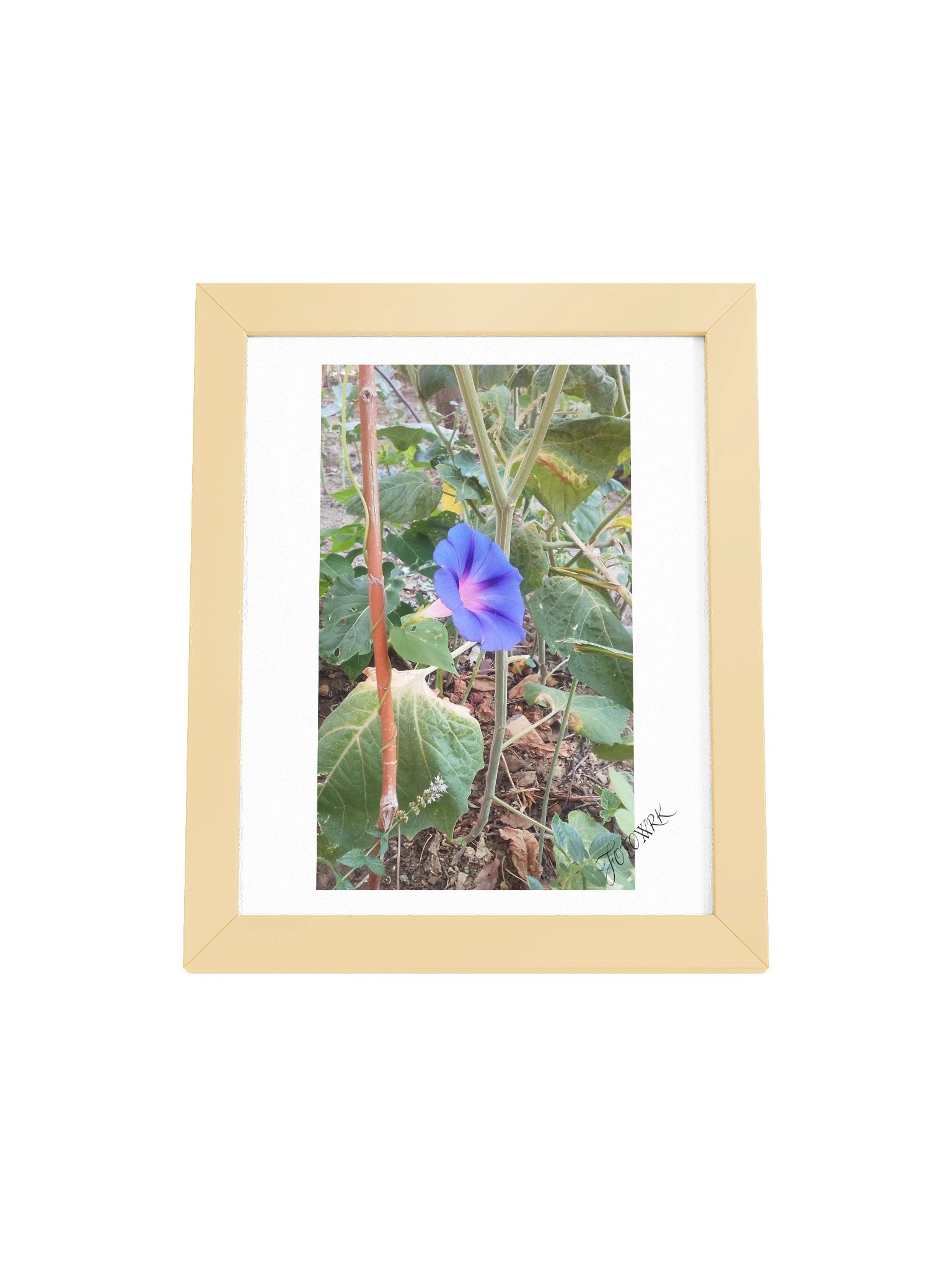 Glory - Fine Art Botanical Matte Poster product image (16)