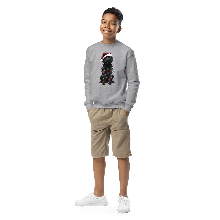 Funny Christmas Labradoodle(Black) Youth Sweatshirt product image (1)