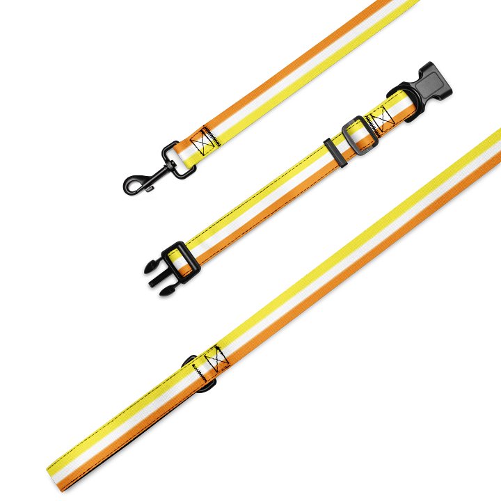 Maverique Pride Flag Pet Collar & Leash product image (1)