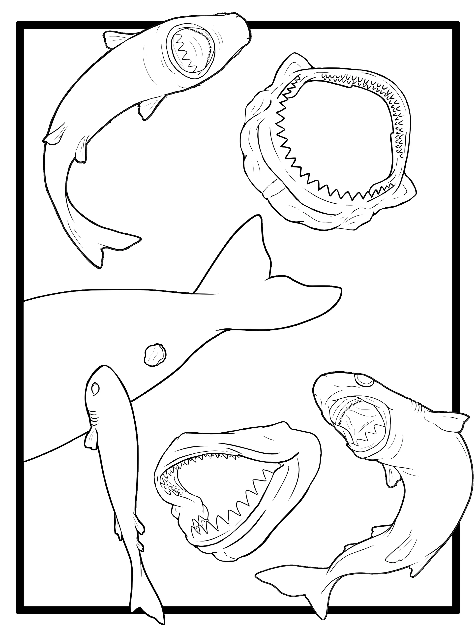 Cookiecutter Shark Coloring pages product image (3)
