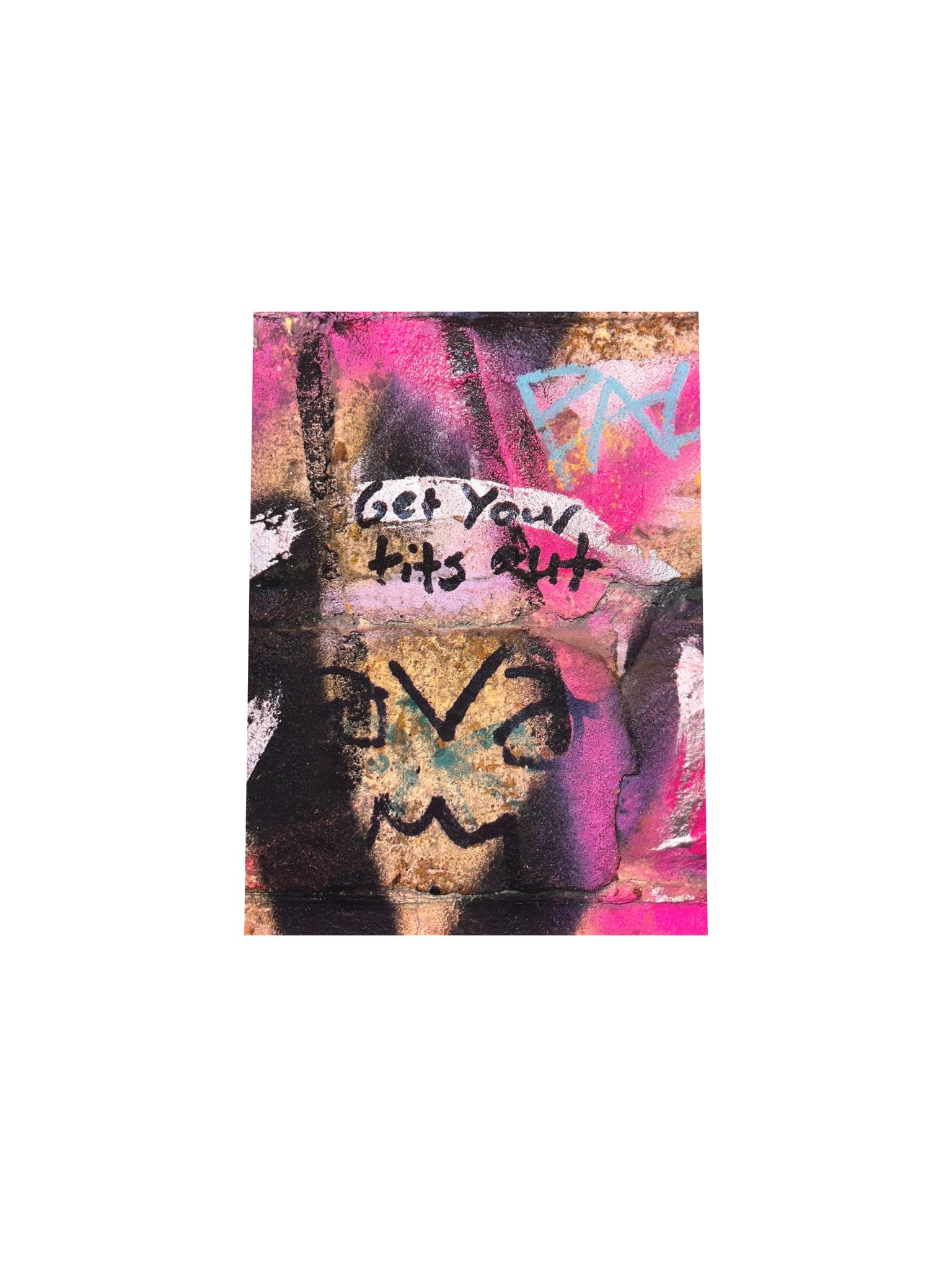 Get Your Tits Out Berlin Bathroom Wall Brick Wall Print product image (33)