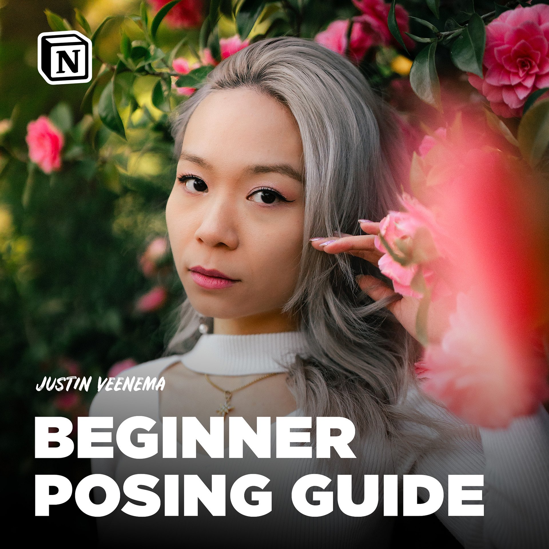 Posing Kit product image (1)