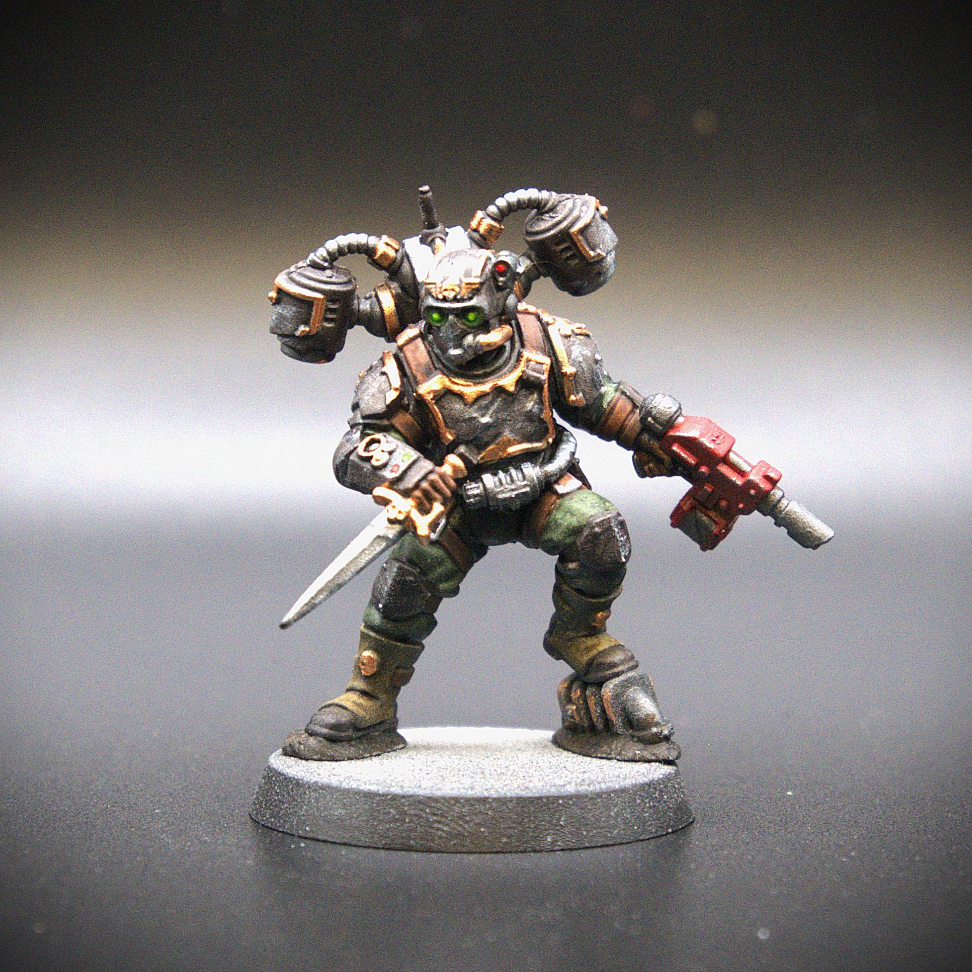 Tempestus Aquilons: Painted Models product image (8)